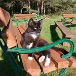 Amig Vakantieboerderij *
