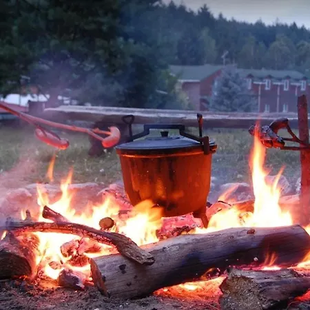 Amig * Krzywoploty (Olkusz)