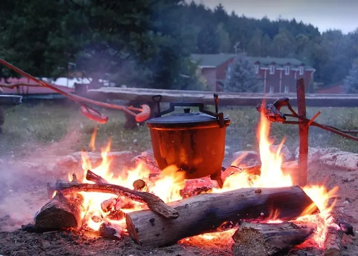 Amig * Krzywoploty (Olkusz)