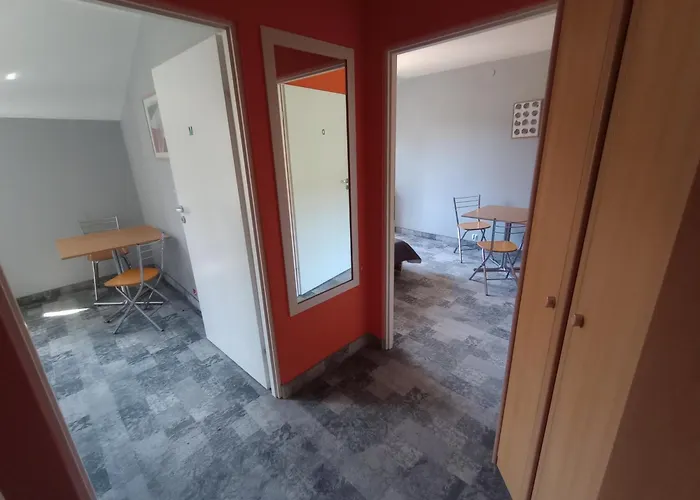 Amig * Krzywoploty (Olkusz)